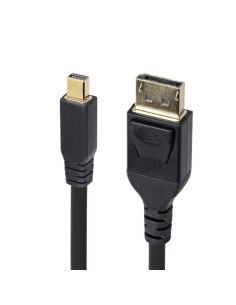 Câble VGA Startech DP14MDPMM10F Noir 3 m