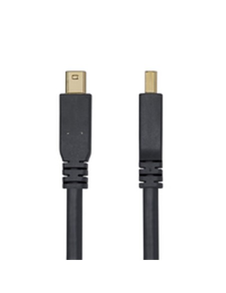 Câble VGA Startech DP14MDPMM10F Noir 3 m
