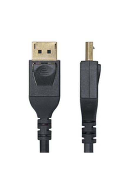 Câble VGA Startech DP14MDPMM10F Noir 3 m