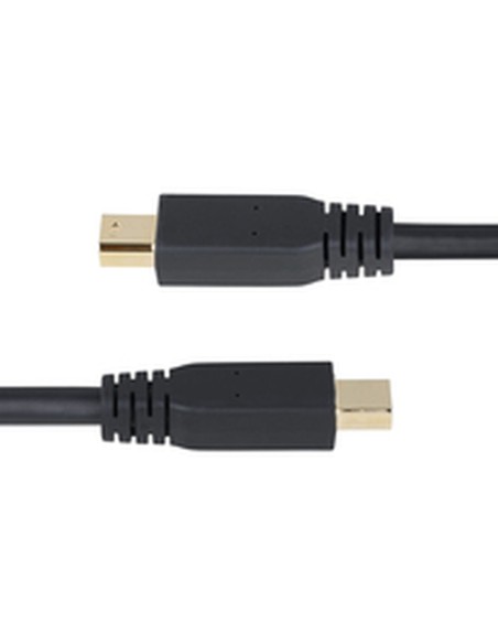 Câble VGA Startech DP14MDPMM10F Noir 3 m