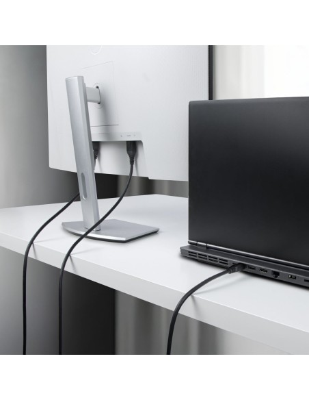 Câble VGA Startech DP14MDPMM10F Noir 3 m