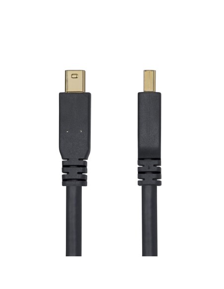 Câble VGA Startech DP14MDPMM10F Noir 3 m
