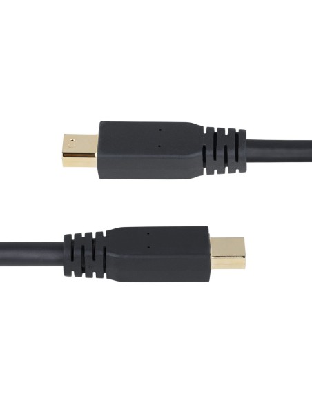 Câble VGA Startech DP14MDPMM10F Noir 3 m