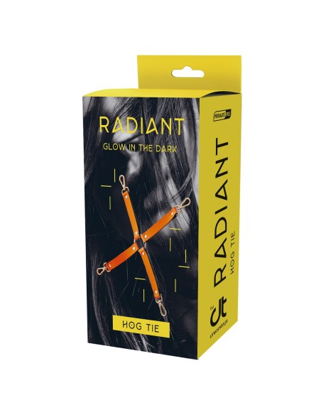 Balançoire Dream Toys Radiant