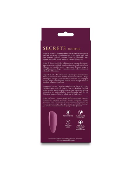Masseur érotique NS Novelties Secrets Rouge
