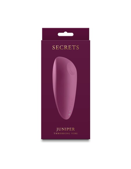 Masseur érotique NS Novelties Secrets Rouge