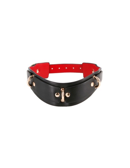 Collier de punition NS Novelties Fetish & Fashion
