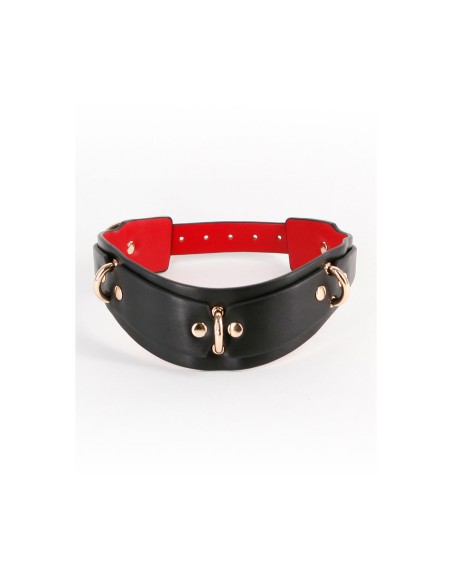 Collier de punition NS Novelties Fetish & Fashion