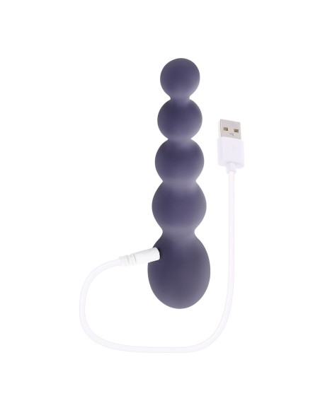 Vibrateur Anal Cassini Noir Evolved Zero Tolerance Violet
