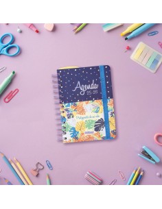 Agenda Finocam 2