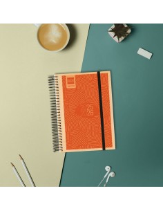 Agenda Finocam 2