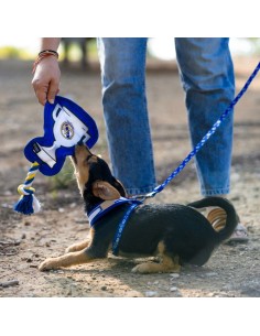 Jouet pour chien Real Madrid C.F. Multicouleur Polyester Coton 2