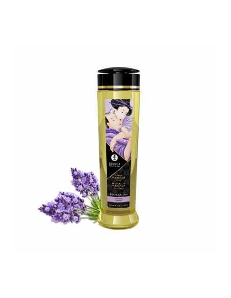 Huile de massage érotique Shunga 240 ml Lavande