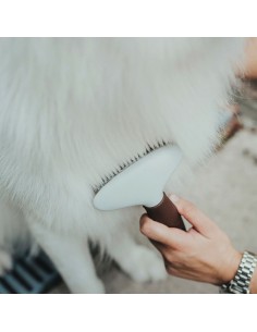 Brosse Démêlante Hunter Râteau 2