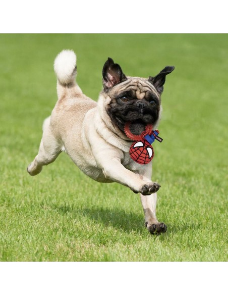 Jouet pour chien Spider-Man   Rouge 100 % polyester