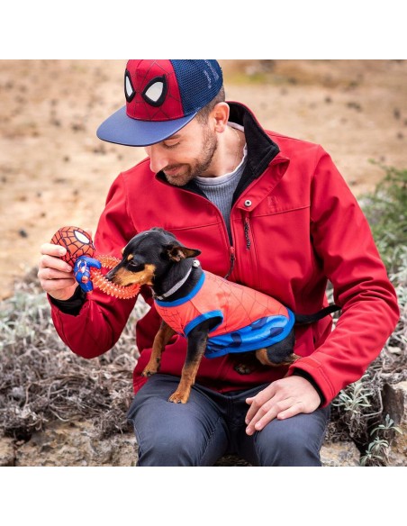Jouet pour chien Spider-Man   Rouge 100 % polyester