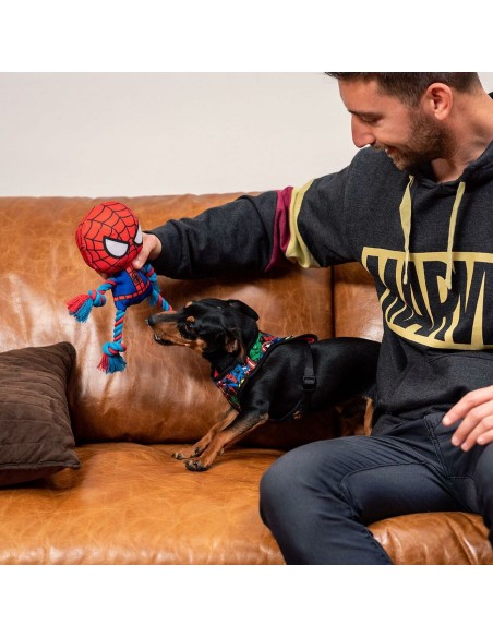 Jouet pour chien Spider-Man Rouge