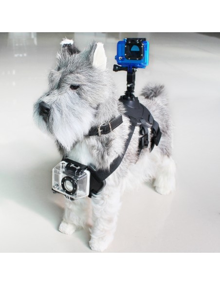 Harnais pour Animaux Domestiques avec Support pour Caméra de Pport KSIX Noir