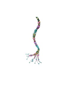 Guirlande lumineuse LED Lumineo Multicouleur 8 m