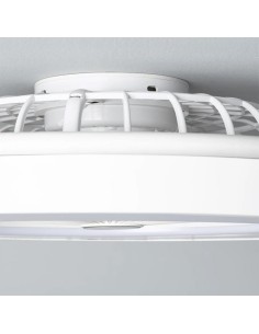 Ventilateur de Plafond avec Lumière Philips Blanc 2
