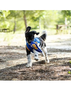 Jouet pour chien Real Madrid C.F. Bleu 2