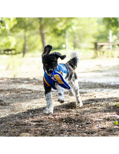 Jouet pour chien Real Madrid C.F. Bleu