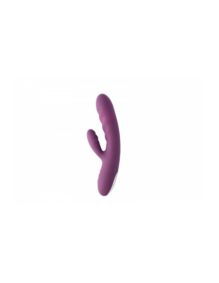 Vibromasseur Svakom
