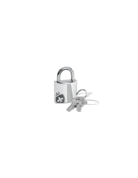 Adaptateur Thunderbolt vers USB-C Mystim MS46621