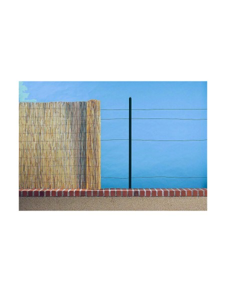 Palissade de Jardin EDM 75816 Marron Bambou 1 x 5 m