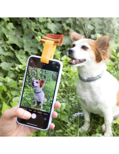 Clip pour Selfies pour Animaux Familiers Pefie InnovaGoods