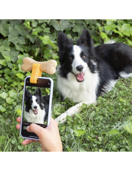Clip pour Selfies pour Animaux Familiers Pefie InnovaGoods