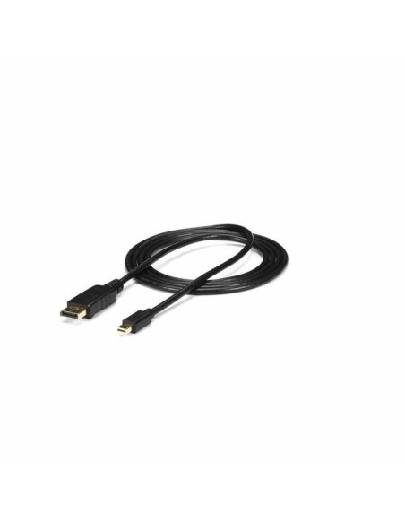 Câble Mini DisplayPort vers DisplayPort Startech MDP2DPMM6            (1,8 m) Noir
