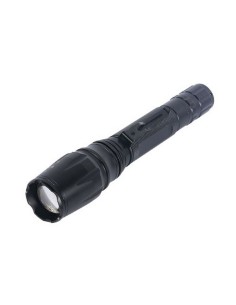 Lampe Torche LED TM Electron REC Noir 10W