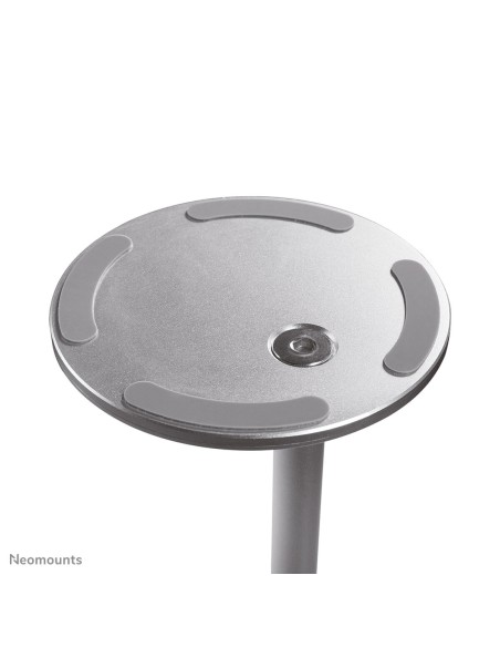 Support Neomounts DS10-200SL1          Argent