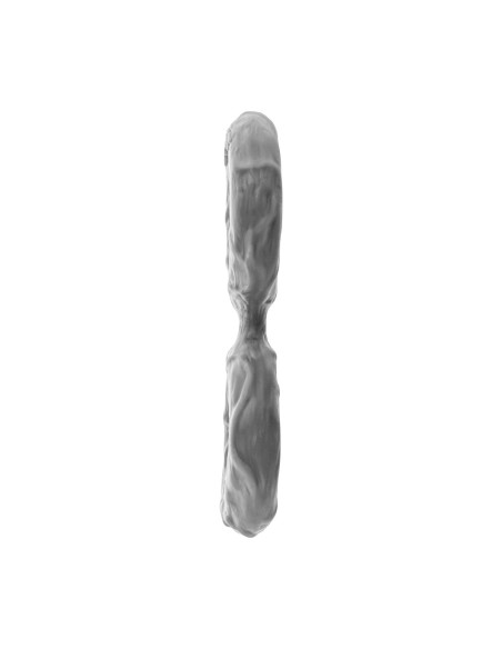 Anneau Pénis Shaft Gris