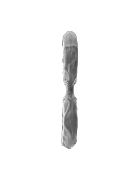 Anneau Pénis Shaft Gris