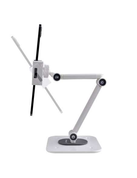 Support de tablette Startech ADJ-TABLET-STAND-W Blanc