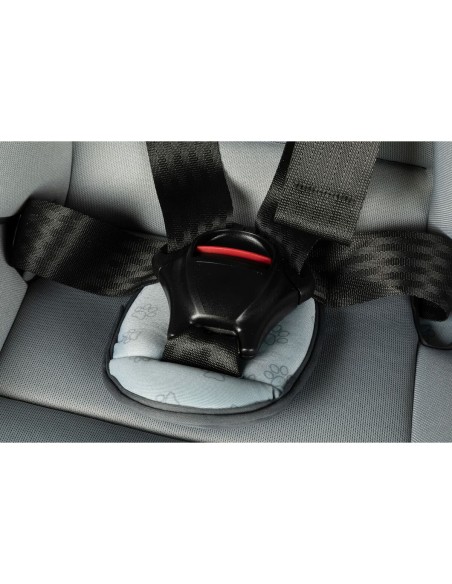 Siège de Voiture Hilo CZ11032 9 - 36 Kg Gris
