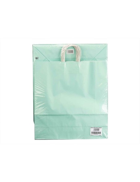 Sac en papier Pincello 34069 Vert 32 X 12 X 50 cm (100 Unités)