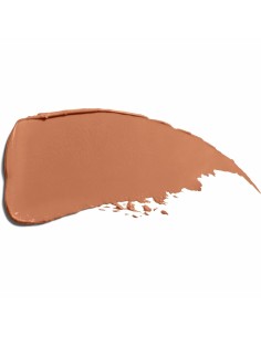 Rouge à lèvres Shiseido Technosatin Nº 403 3,3 g 2