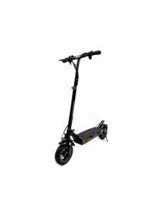 Trottinette Électrique Smartgyro Noir 48 V 2