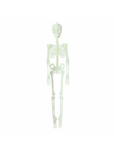 Décoration d'Halloween Squelette 150 cm Fluorescent
