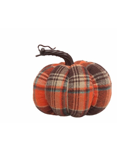 Citrouille Multicouleur