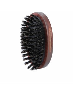 Brosse Lussoni   Oblongue Barbe