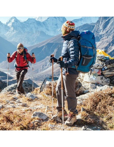 Bâton Trekking Aktive Aluminium 135 cm (10 Unités)