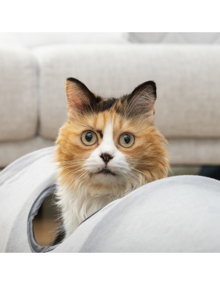 Tunnel de Jeu Pliable pour Animaux de Compagnie Funnyl InnovaGoods