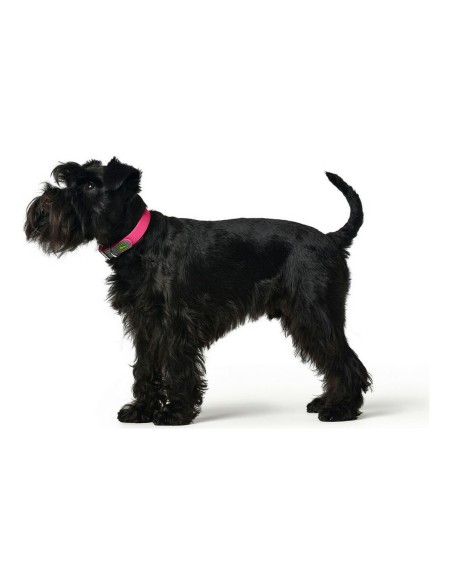 Collier pour Chien Hunter Convenience Rose Taille M/L (42-50 cm)