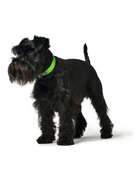 Collier pour Chien Hunter Convenience Vert Taille M/L (42-50 cm)