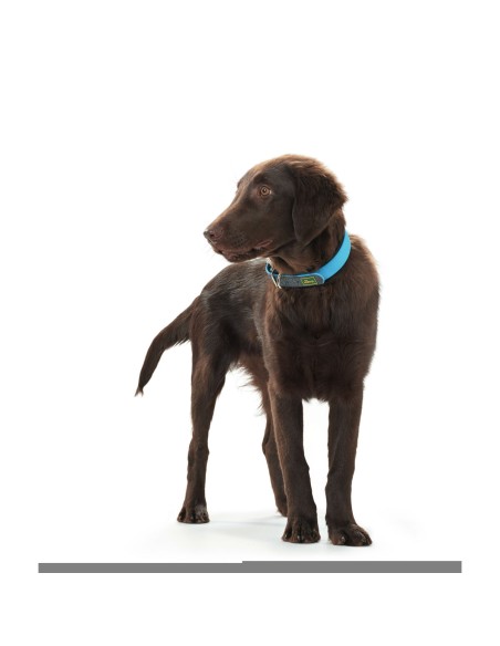 Collier pour Chien Hunter Convenience Turquoise (38-46 cm)