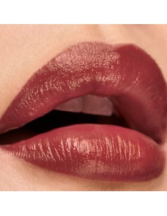Rouge à lèvres Elizabeth Arden Lip Color Nº 02 Embrace pink matte 4 g 2